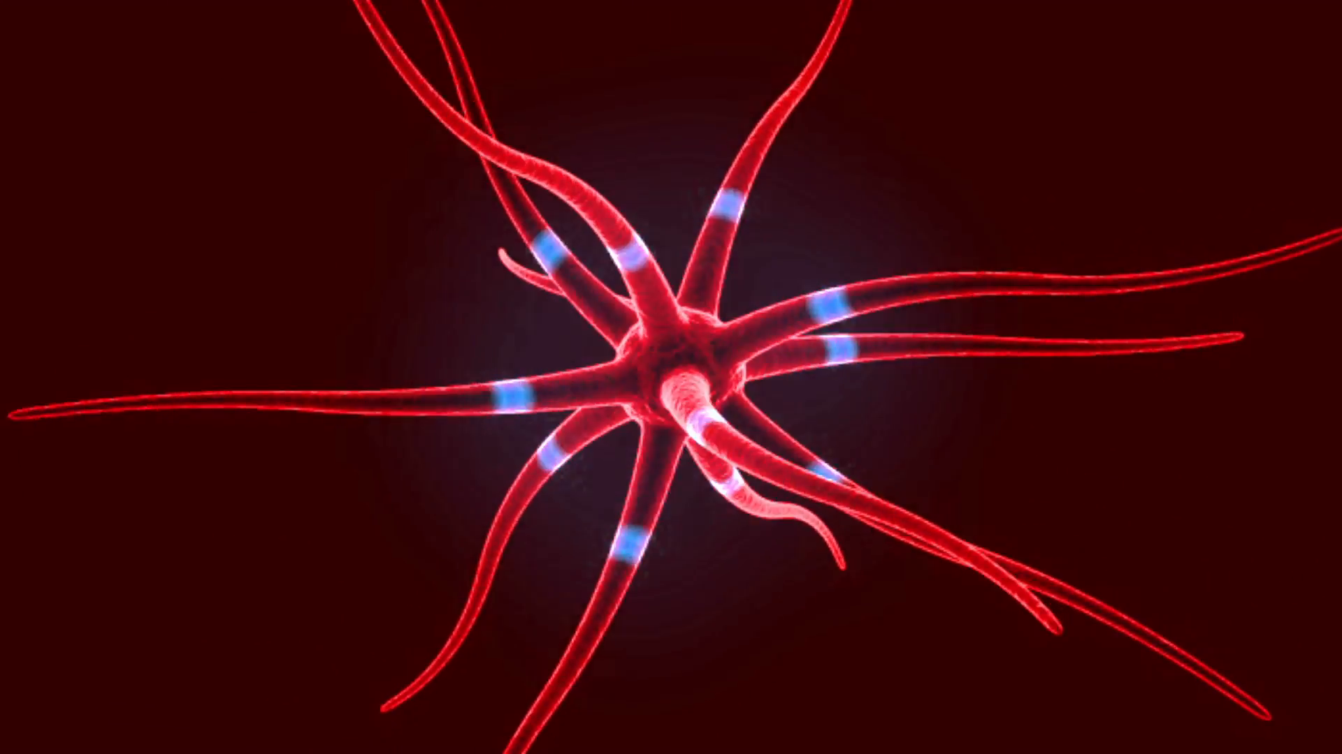 Neurone Impulse videoblocks.com